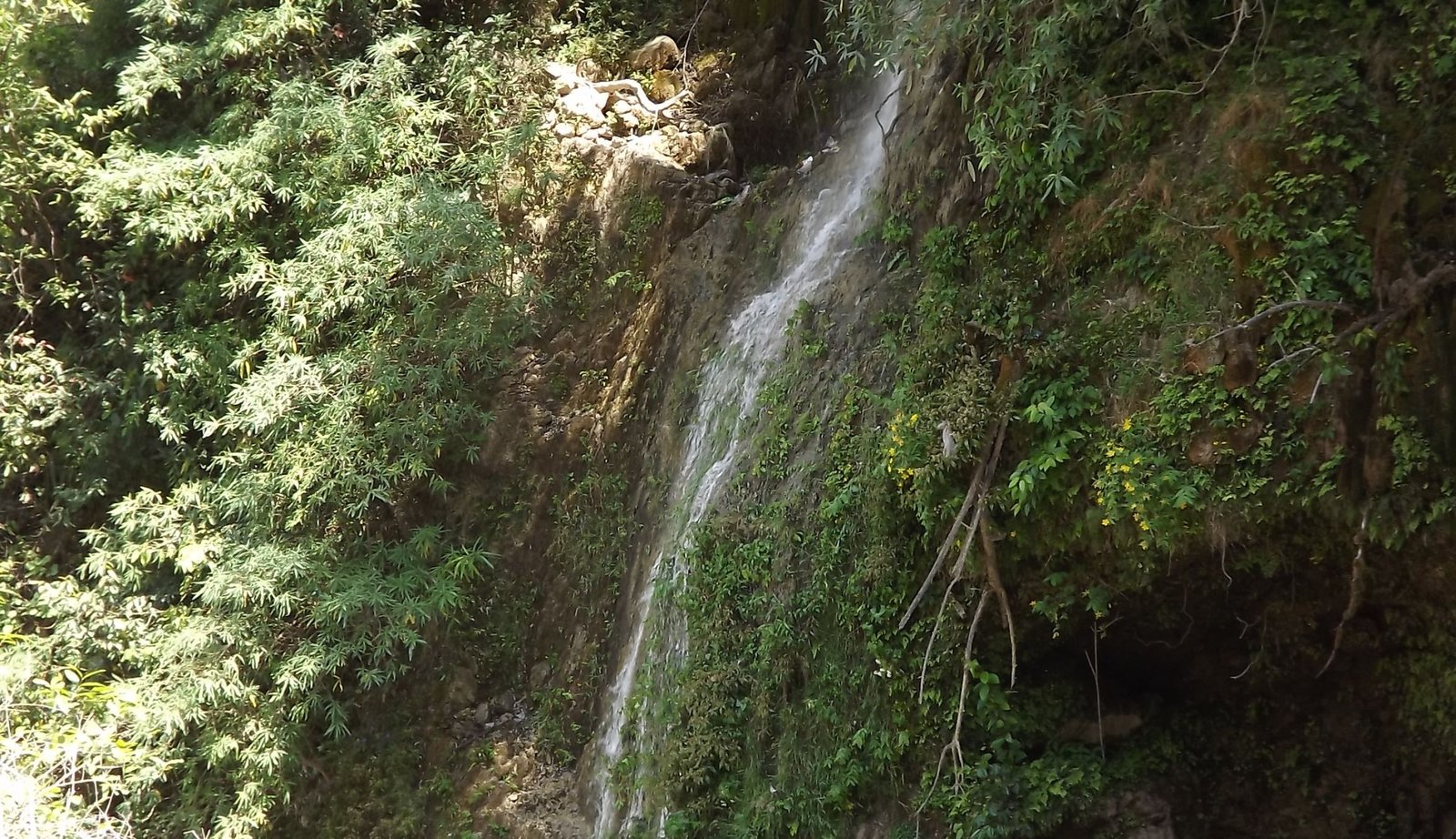 Uttarakhand Tour Package